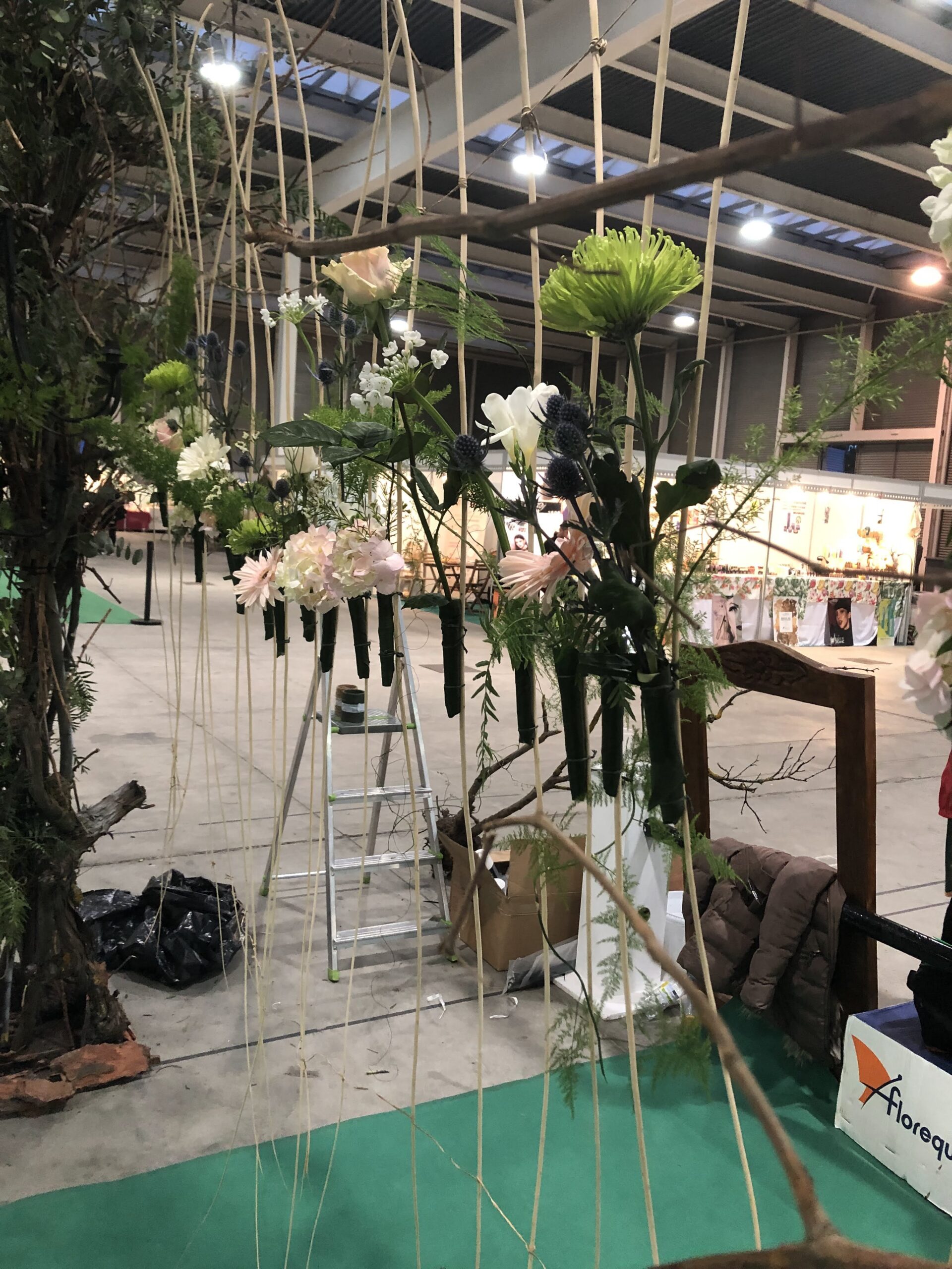 Curso Naturalezas Zamora